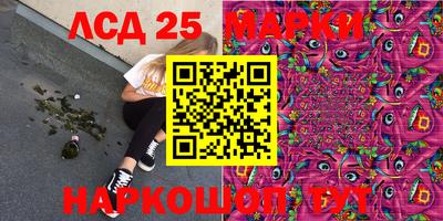 крисы Лесосибирск