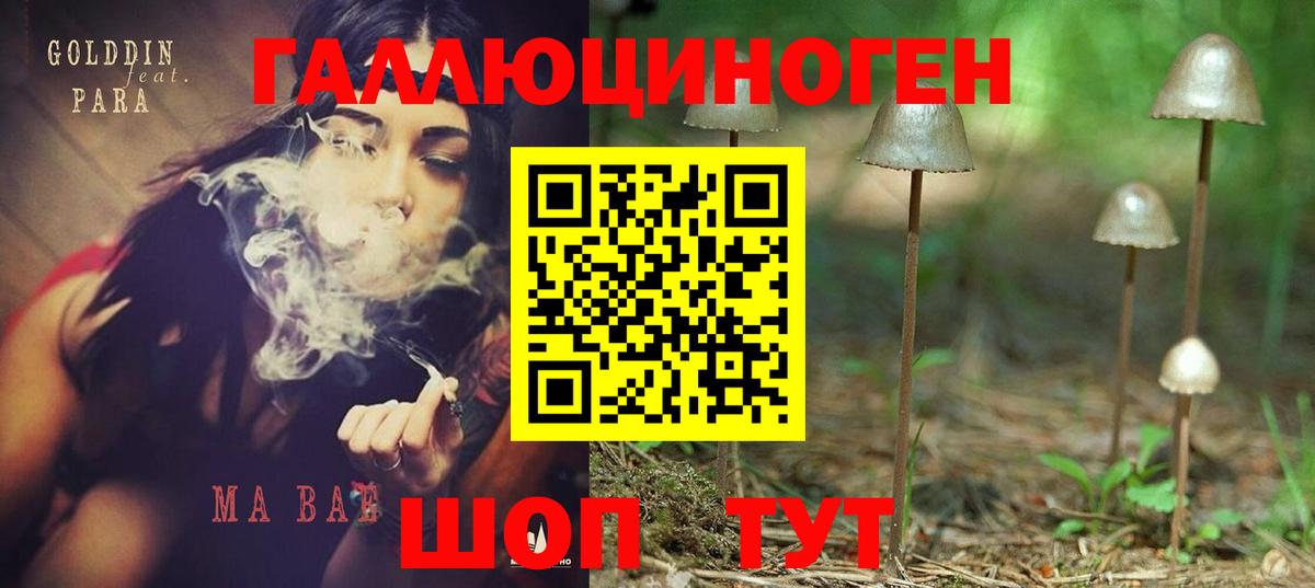 Галлюциногенные грибы GOLDEN TEACHER  Вход с VPN  Йошкар-Ола 
