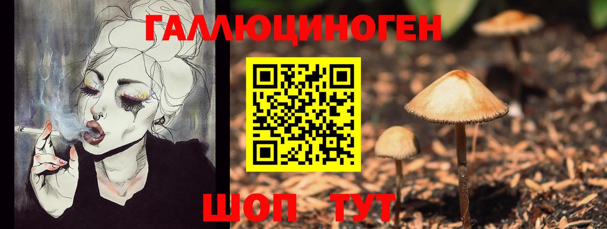 Псилоцибиновые грибы Psilocybine cubensis Йошкар-Ола